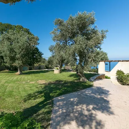 Villa Olivia's Of Luxury *