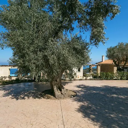 Olivia's Of Luxury Villa *