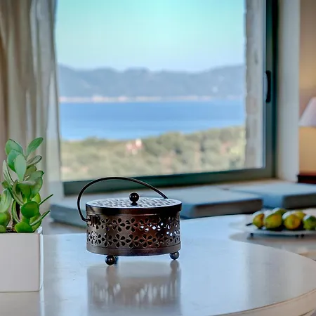 Villa Olivia's Of Luxury