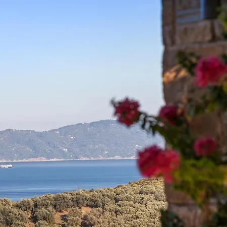 Olivia's Of Luxury Villa Kalivia (Skiathos)