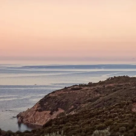 Olivia's Of Luxury *